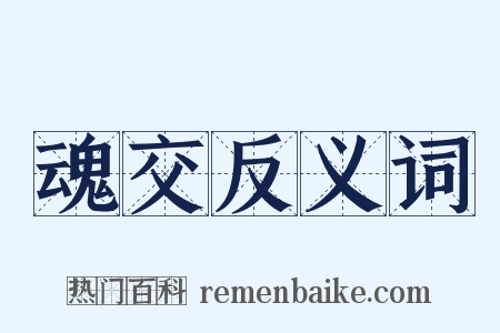 魂交反义词是什么意思的图片